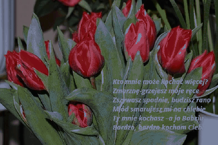 Kto mnie może kochać więcej